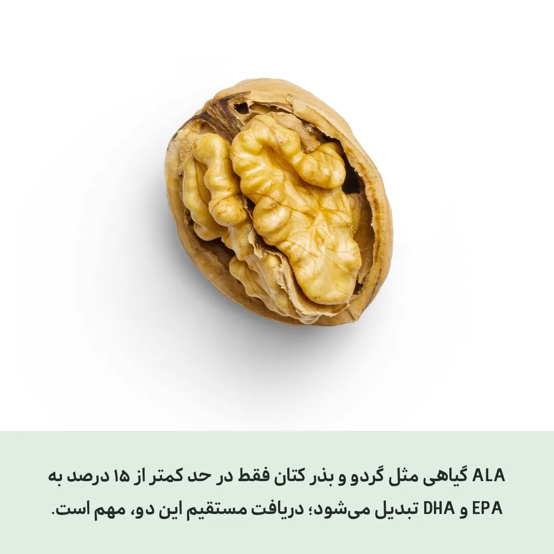 امگا ۳ برای چیست و منابع آن کدام‌اند
