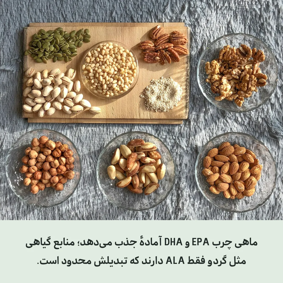 منابع غذایی امگا ۳ شامل ماهی و گردو