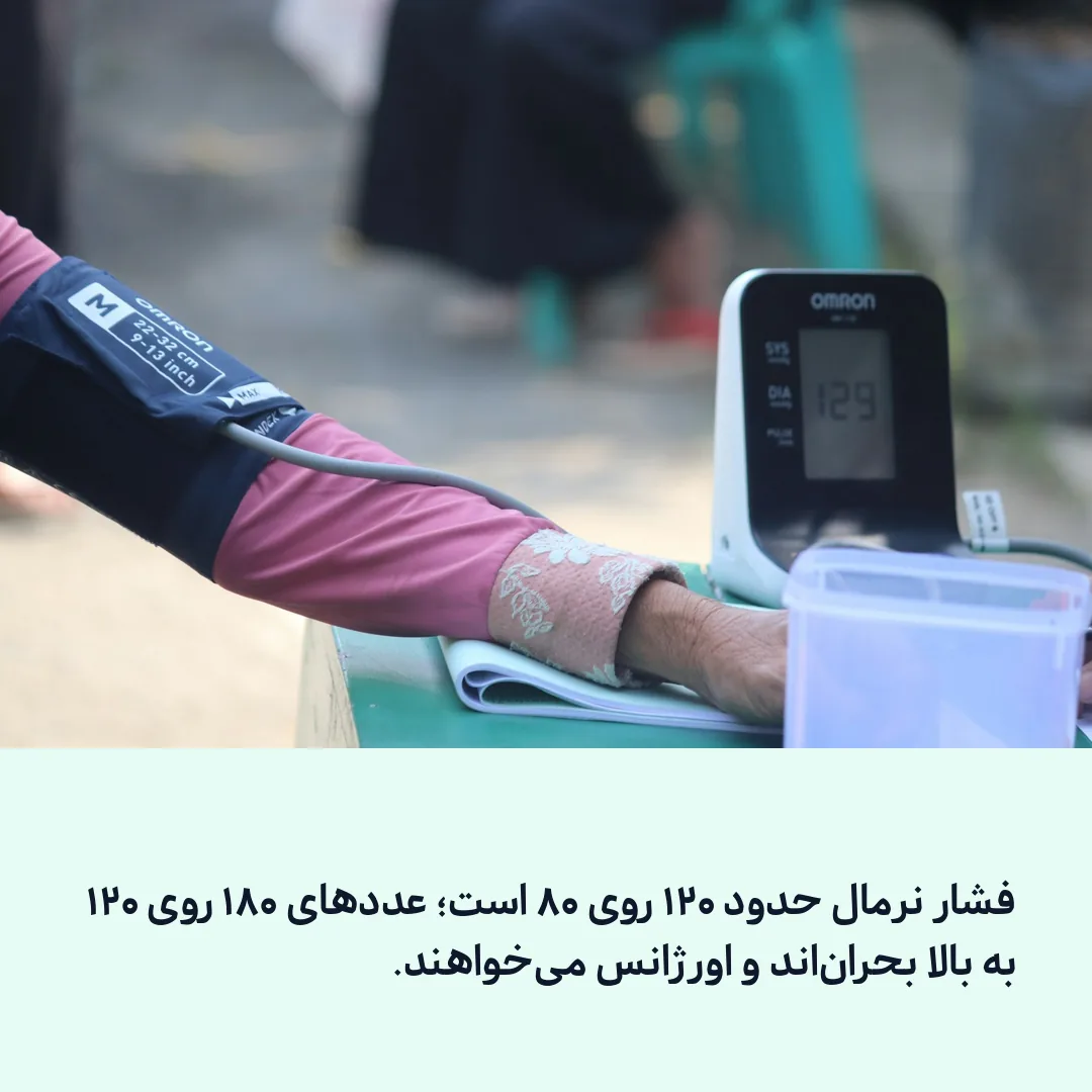 عددها