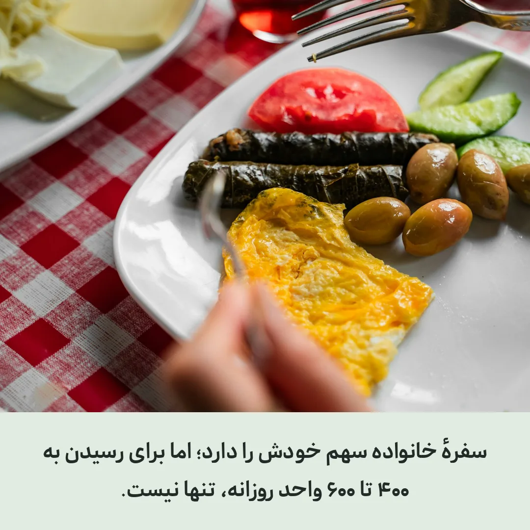 بشقاب غذای سالم خانواده