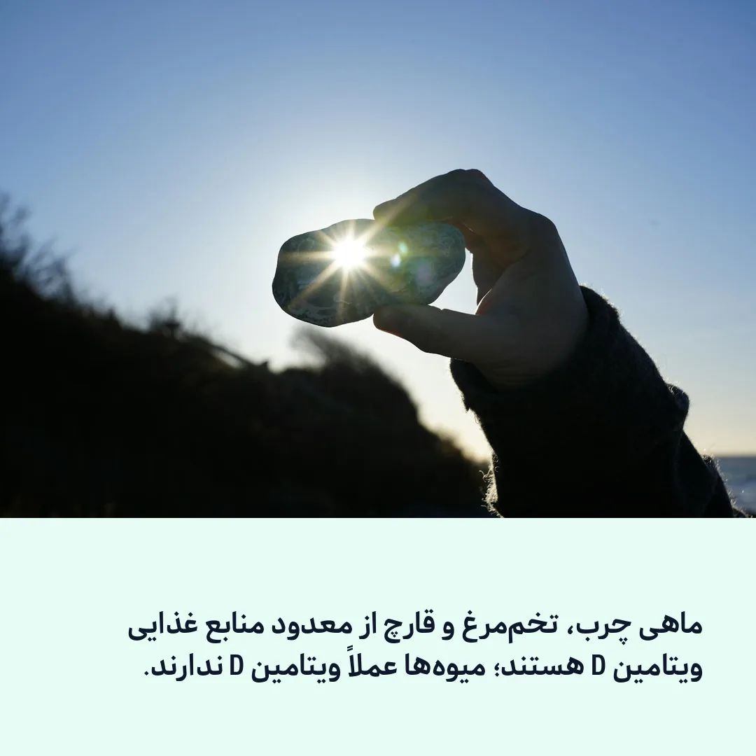 منابع غذایی ویتامین D
